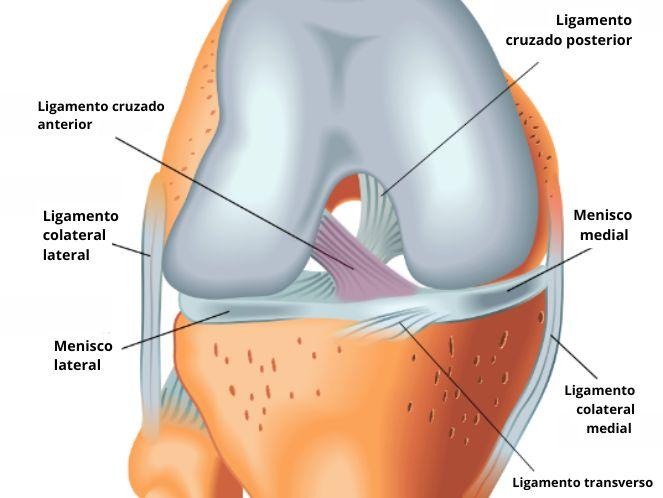 Lesão de ligamento do joelho: conheça os tipos mais comuns em atletas